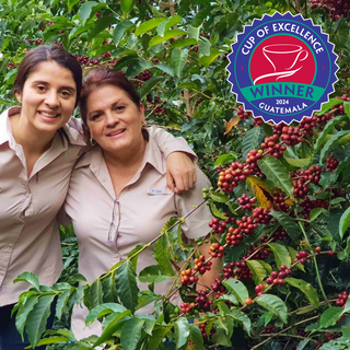 La Reforma Y Anexos Farm - Guatemala Cup Of Excellence Winner