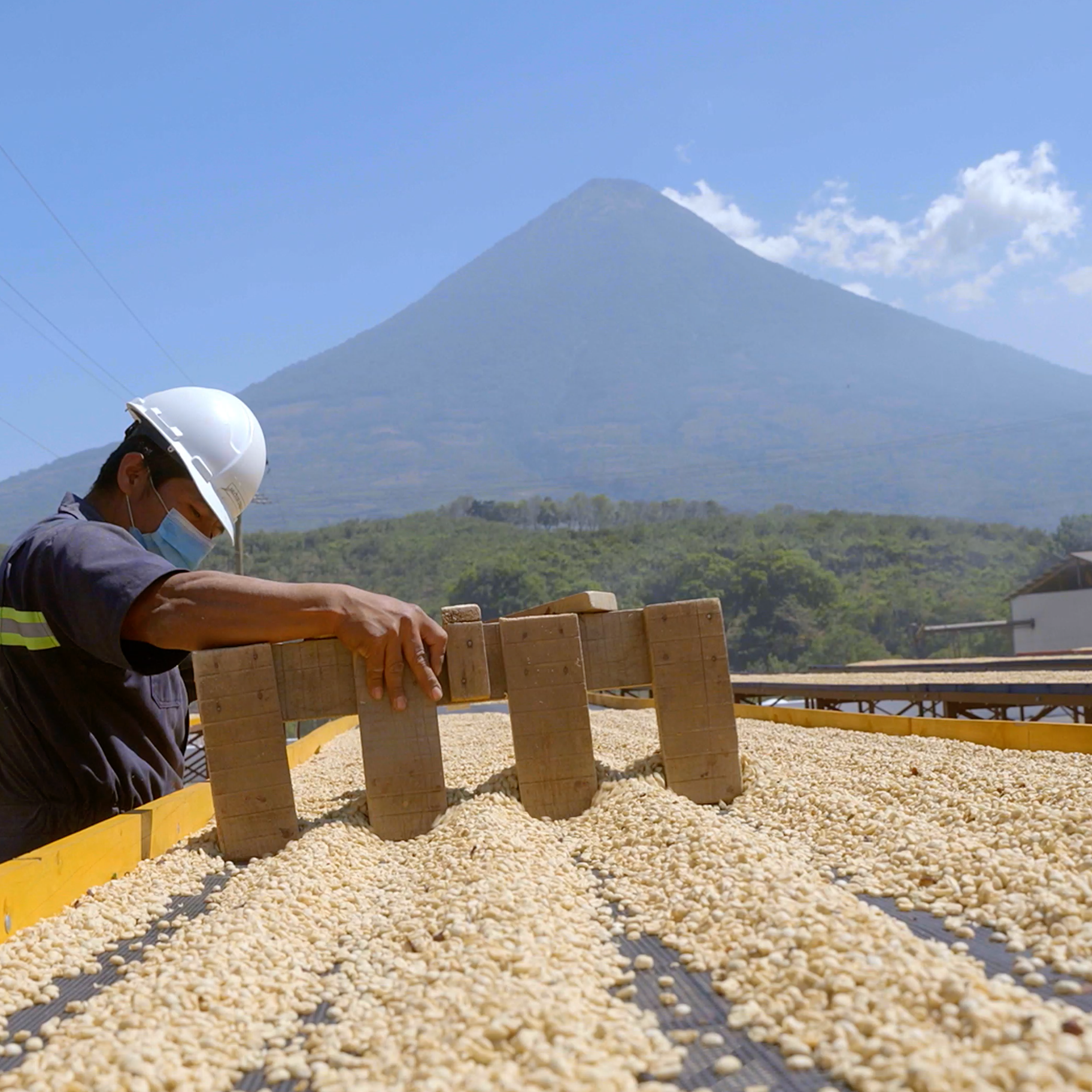 San Miguel Family Farm: Rumbling Volcanoes and a Rich Family Coffee Legacy