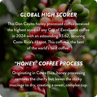 Costa Rica Cup of Excellence #1 Honey | 93.62 Score (4 or 12 cups)