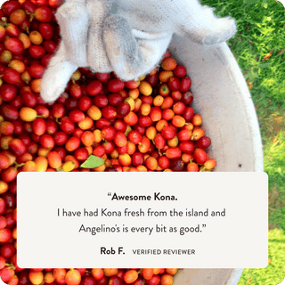 100% Kona