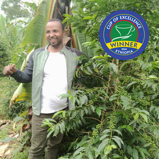 Angelino's Coffee Makes Cup of Excellence History with Record-Breaking $445/lb Purchase at Ethiopia Auction