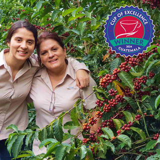 La Reforma Y Anexos Farm - Guatemala Cup Of Excellence Winner 