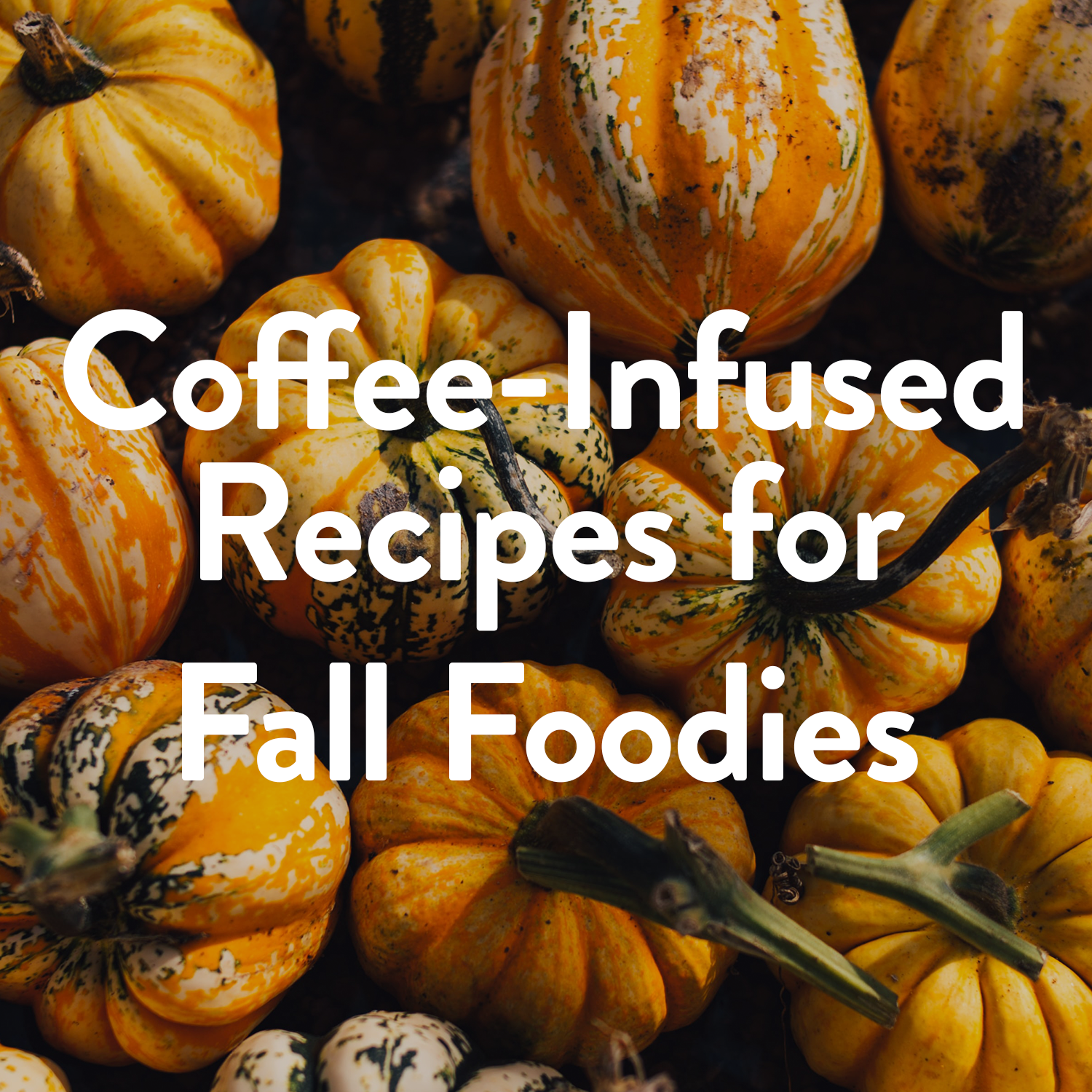 pumpkin picking for fall foodies
