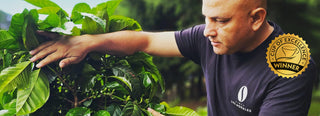 A Family’s Return: The Story of Finca Los Morales