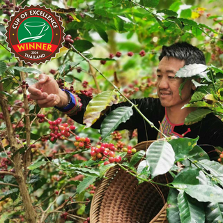 Angelino’s Coffee Secures Tenth 1st Place Coffee at Thailand COE Auction, Expanding a World-Class Collection of Premium Coffees