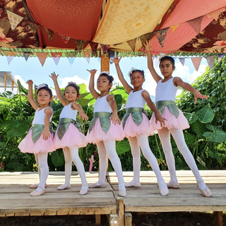 Transformación Ballet: Dancing Children Off the Streets