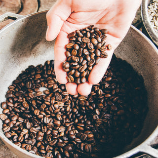 Your Guide to Coffee Tasting Notes