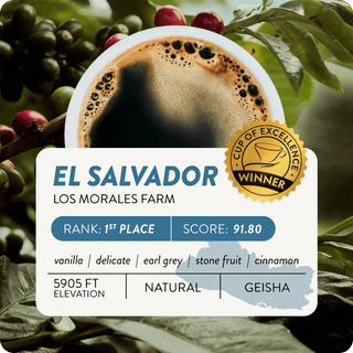 El Salvador Cup of Excellence #1 Natural | 91.8 Score (4 or 12 cups)