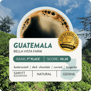 Guatemala Cup of Excellence #1 Natural | 90.2 Score (4 or 12 cups)