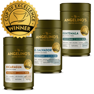 Cup of Excellence Variety | #1 Nicaragua, #1 El Salvador, #1 Guatemala (225 grams)