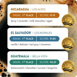 Cup of Excellence Variety | #1 Nicaragua, #1 El Salvador, #1 Guatemala (12 cups)