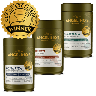 Cup of Excellence Variety | #3 Costa Rica, #1 Mexico, #1 Guatemala (225 grams)