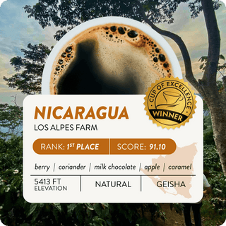 Nicaragua Cup of Excellence #1 Natural | 91.1 Score (4 or 12 cups)
