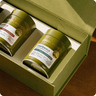 Mexico Cup of Excellence #1 Washed | 90.79 Score (75 grams)