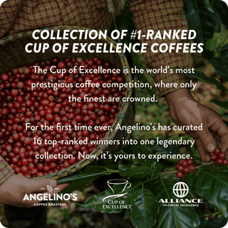 Cup of Excellence Tasting Set | 12 Different Top-Ranked Coffees (12 cups)