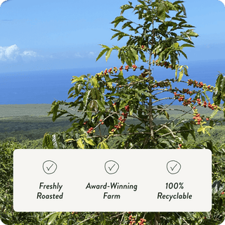 100% Kona