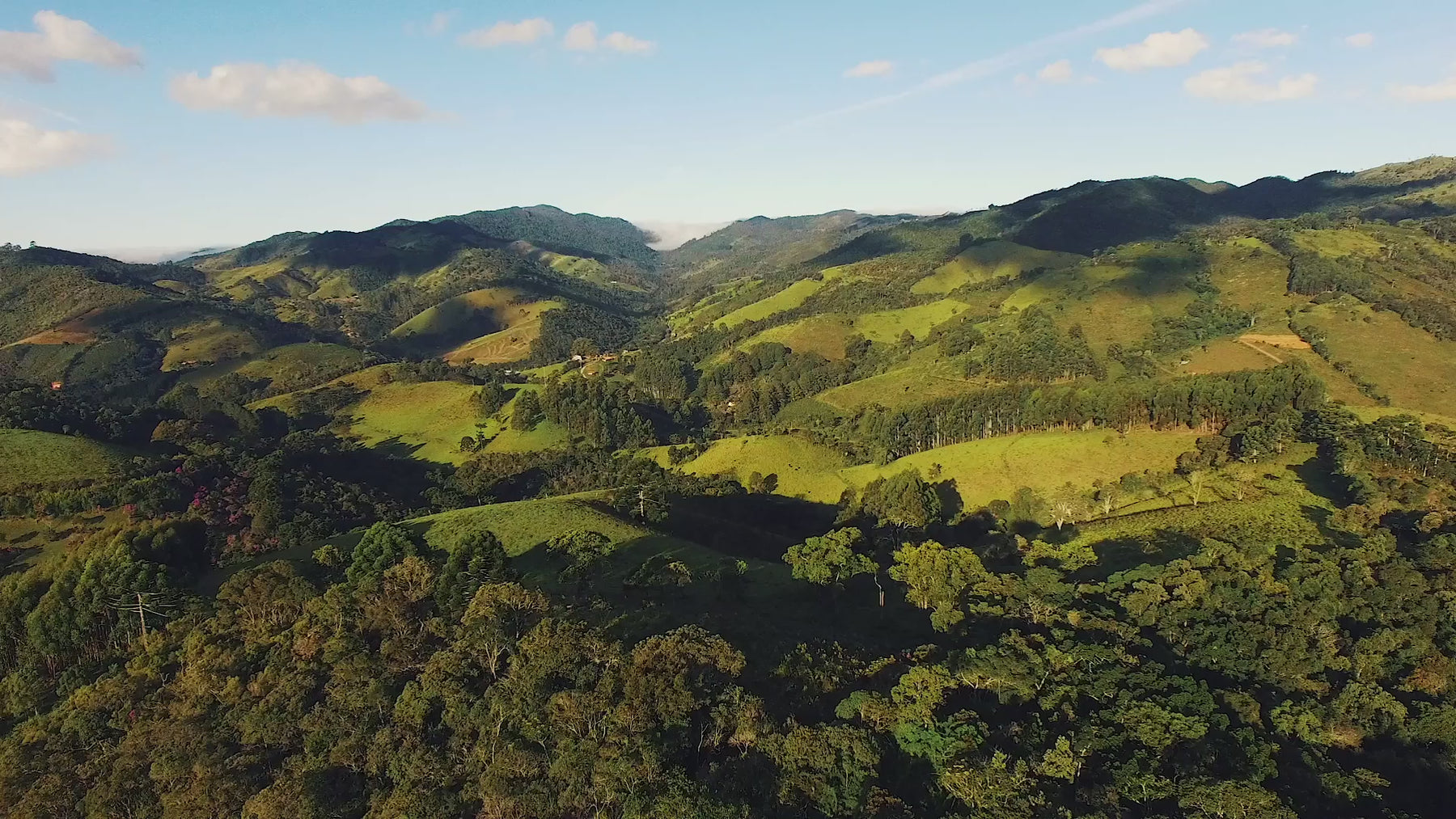 Angelino's shows you Where Coffee Takes You with breathtaking views of coffee origins with rolling mountains, heartfelt people smiling, picking coffee cherries, roasting by hand, taste testing in labs. See every step from bean to brew.