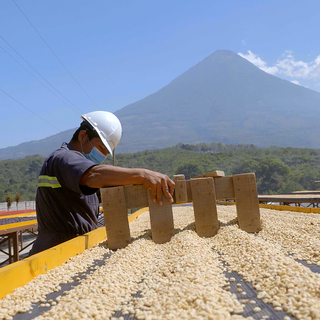 Guatemala Antigua